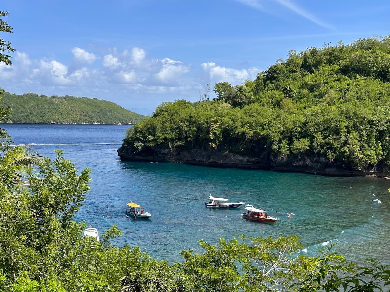 Vibrant Coral Gardens